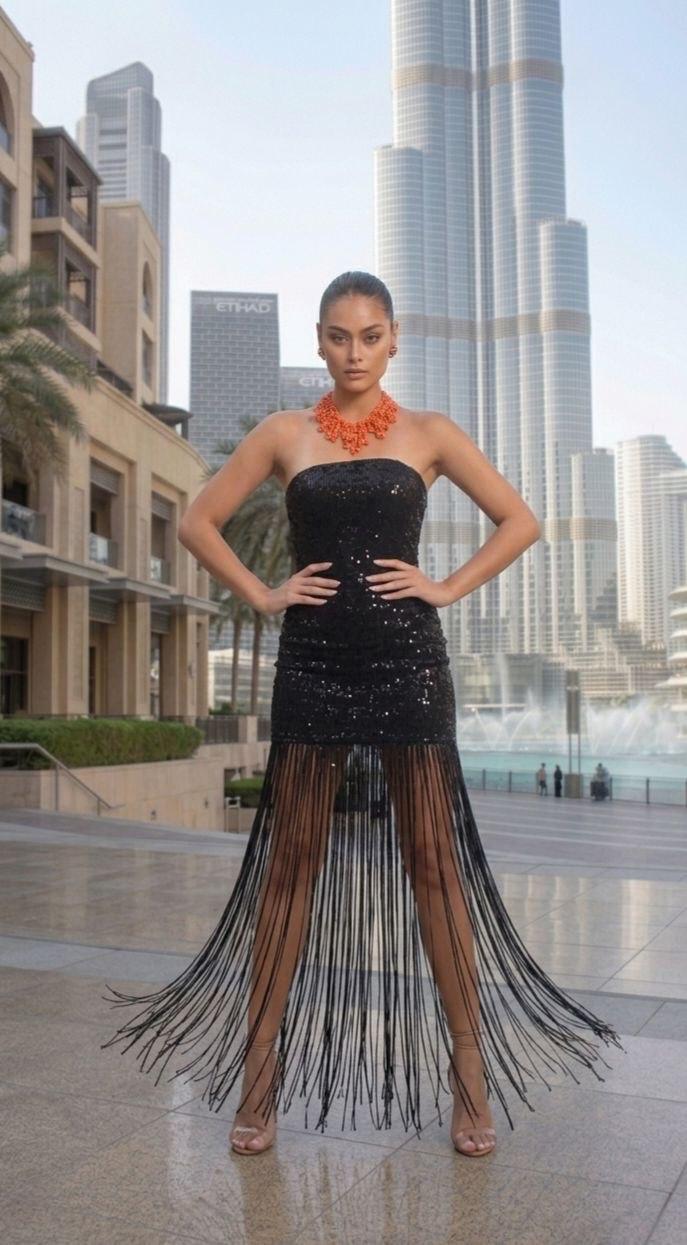 Sequin Fringe Dress